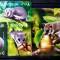 SLOVENIA 2023 fauna animale,rozatoare, p&acirc;rsi ,soareci SERIE+BLOC MNH