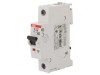&Icirc;ntrerupător de Supracurent 40A 230/400V 1P 10kA