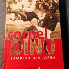 Zambind din Iarba Cornel Dinu