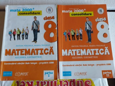 MATEMATICA ALGEBRA GEOMETRIE CLASA A VIII A - PARTEA 1 + 2 NEGRILA GOLOGAN foto