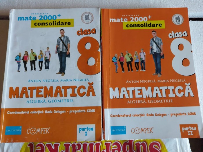 MATEMATICA ALGEBRA GEOMETRIE CLASA A VIII A - PARTEA 1 + 2 NEGRILA GOLOGAN