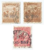 Romania, Em. Timisoara, LP. 1/1919, Marci magh. cu supratipar drept, obl.
