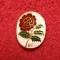 Insigna - Federatia de RUGBY din ANGLIA