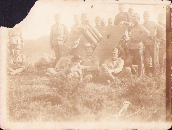 P687 Artileriști austro-ungari cu tun, frontul italian