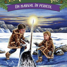 Un narval în pericol (Vol. 25) - Paperback brosat - Mary Pope Osborne - Paralela 45