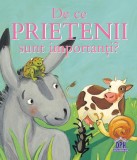 Cumpara ieftin De ce prietenii sunt importanți? - Hardcover - Sophie Bellier - Didactica Publishing House