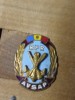 Insigne (3) AVSAP RPR