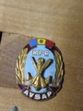 Insigne (3) AVSAP RPR