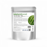 Ingrasamant foliar hidrosolubil pentru pepeni verzi 75-13-85 +8%MgO+165%SO4 + 125% Microelemente (Cu Fe Zn Mn Mo) MelonBoost 250 g, CHRD