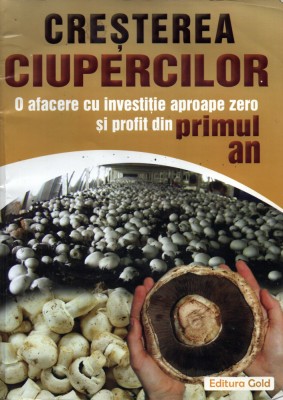 Cultivarea ciupercilor comestibile foto