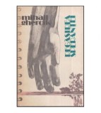 Cumpara ieftin Mihail Ghercik - Regasirea sperantei - 118558