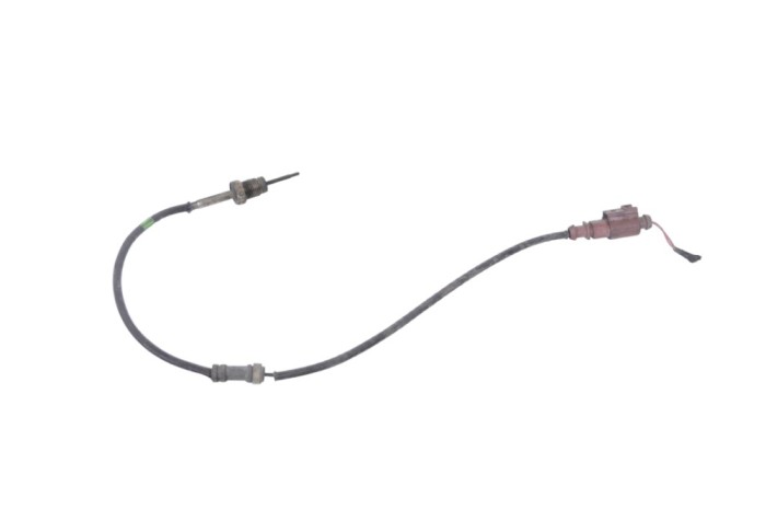 Senzor de temperatură VW CC 358 2014 OEM: 03L906088CJ 18048550
