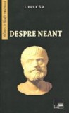 Despre neant (I. Brucar)