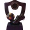 Trofeu gheata cu mingie, Fotbal, 17 cm, A-139