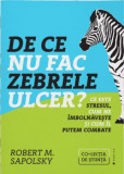 De ce nu fac zebrele ulcer? Ce este stresul, cum ne imbolnaveste si cum il putem combate - Publica