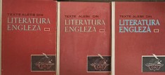 TEXTE ALESE DIN LITERATURA ENGLEZA VOL.1-3-DICU ARETIA-243399