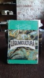 LEGUMICULTURA - H. BUTNARIU