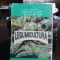 LEGUMICULTURA - H. BUTNARIU