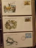 FAUNA WWF - 3 PLICURI PRIMA ZI