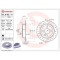 Set disc frana Mini Mini (R50 R53) 06.01-09.06, Mini (R56) 11.05-01.14, Mini Cabriolet (R52) 04.04-07.08, Spate, 259X10mm, plin, BREMBO