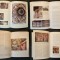 Album rar RESTAURARE PICTURA MURALA din Nordul Moldovei Modificari Estetice 447 pag ilustrat Oliviu Boldura Romana / Engleza Tiraj mic nepus in comert