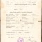 A1903 Certificat școlar, 1909, Făgăraș, elevă rom&acirc;ncă ortodoxă
