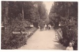 5206 - TARGU-JIU, Public Garden, Romania - old postcard, real PHOTO - unused, Necirculata, Fotografie