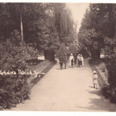 5206 - TARGU-JIU, Public Garden, Romania - old postcard, real PHOTO - unused