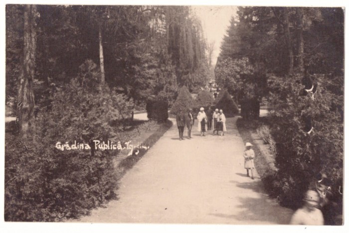 5206 - TARGU-JIU, Public Garden, Romania - old postcard, real PHOTO - unused
