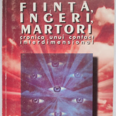 Fiinta, ingeri, martori. Cronica unui contact interdimensional