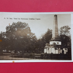 Iasi Teiul lui Eminescu Gradina Copou