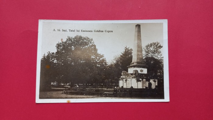 Iasi Teiul lui Eminescu Gradina Copou