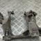 Suport punte dreapta PORSCHE BOXSTER 986 2001 OEM: 98633115208,986.331.152.08 27501894
