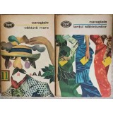 SCHITE SI AMINTIRI VOL.1-2 CALDURA MARE, LANTUL SLABICIUNILOR-ION LUCA CARAGIALE-227858