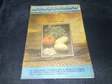 REVISTA MONDORAMA NR 15 16 1990