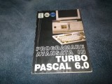 PROGRAMARE AVANSATA IN TURBO PASCAL 6.0
