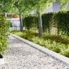VidaXL Borduri pentru gazon 10 pcs Alb 100x0,5x20 cm Oțel