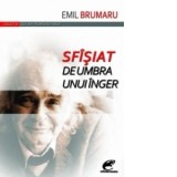 Sfisiat de umbra unui inger - Emil Brumaru