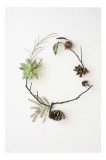 Cadru Canvas cu Cerc Natural cu Elemente Vegetale - Natura și Minimalism, 26 x 39 cm, CMCLASS