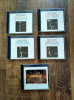 Lot 5 CD originale - Bruckner, simfoniile nr. 1, 3, 5, 8, 9, Dirijor Gunter Wand
