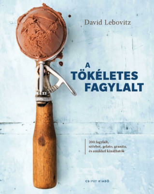 A t&amp;ouml;k&amp;eacute;letes fagylalt - 200 fagylalt, sz&amp;ouml;rbet, gelato, granita, &amp;eacute;s amikkel k&amp;iacute;n&amp;aacute;lhat&amp;oacute;k - David Lebovitz foto