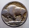 Moneda SUA Buffalo Nickel 1920, 5 Cents, 5g, Cu-Ni, 21.2mm, Numismatica