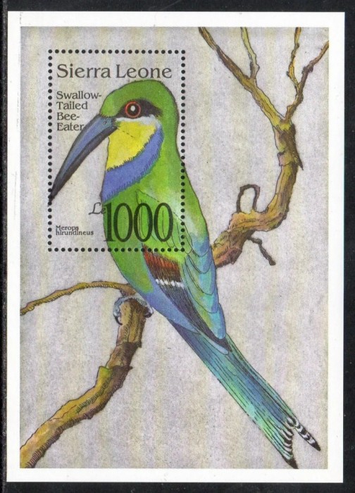 SIERRA LEONE 1992-PASARI-FAUNA-Colita nestampilata MNH