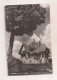 RF205 - Carte Postala - Predeal, Casa de odihna, necirculata