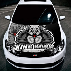 Sticker Imprimat Color pentru Capota &amp;quot;Hood Art&amp;quot; cod: KM-HOOD-241 foto