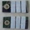 C3 - Grade militare - mozaic padure - plutonier adjutant chimie militara