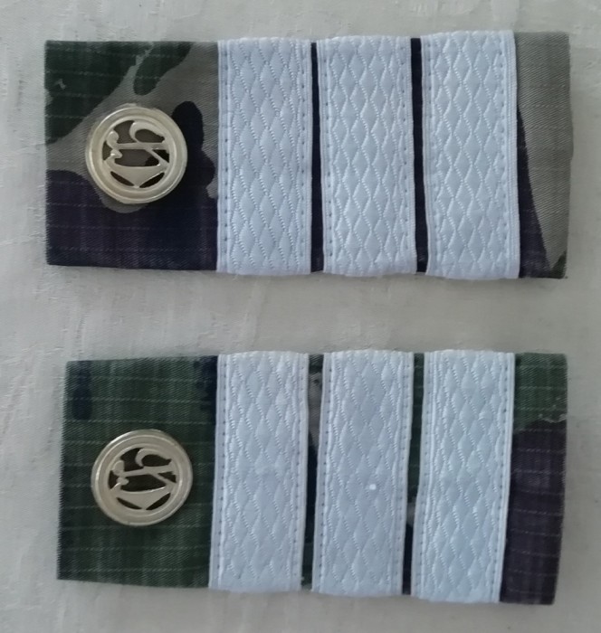 C3 - Grade militare - mozaic padure - plutonier adjutant chimie militara
