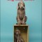 William Wegman Big and Little 2024 Wall Calendar