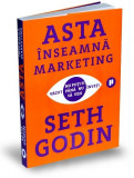 Asta inseamna marketing | Seth Godin, Publica