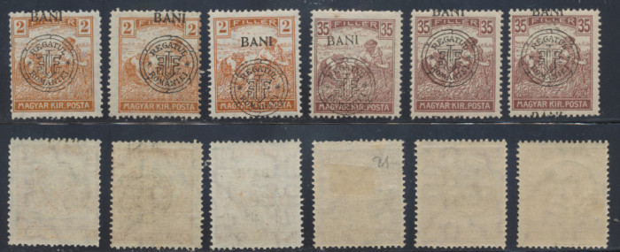 Emisiunea Cluj 1919 Seceratori 6 timbre erori cu sursarj deplasat MNH / MLH